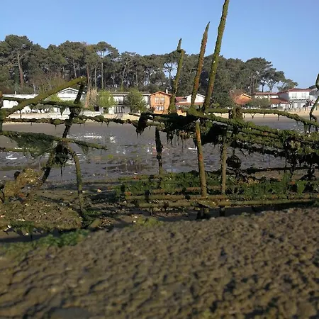 Petite Maison Des Jacquets Hébergement de vacances Lège-Cap-Ferret