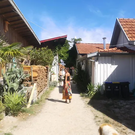 Hébergement de vacances Petite Maison Des Jacquets Lège-Cap-Ferret